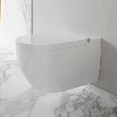 Aqualux PAX2-R Duschtoilet - LuxDusch bidetfunksjon og myklukkende sete